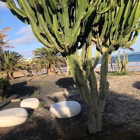 Sonia * Costa Teguise